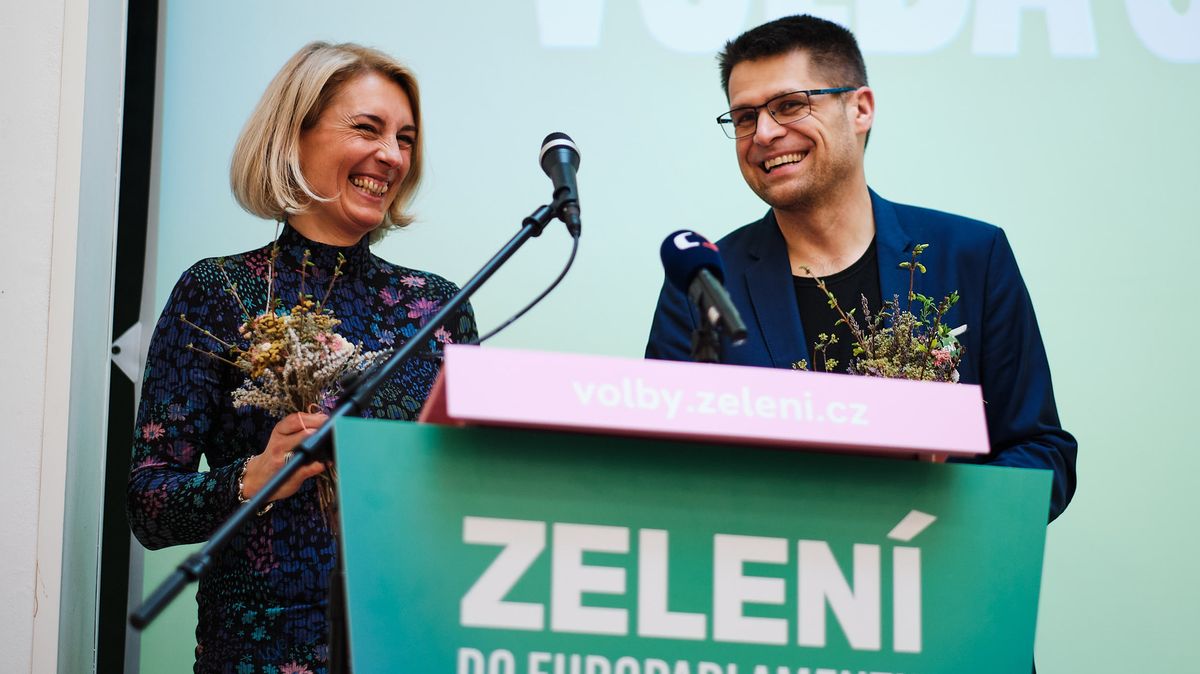 Spolupředsedy Strany zelených zůstávají Magdalena Davis a Michal Berg